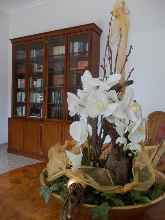 Hotel Garni Rheinpracht Камп-Борнхофен Екстериор снимка